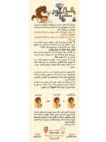 بازی فکری شیر سماور (2)